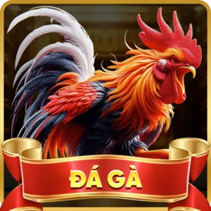 Cá cược Thể Thao 888b