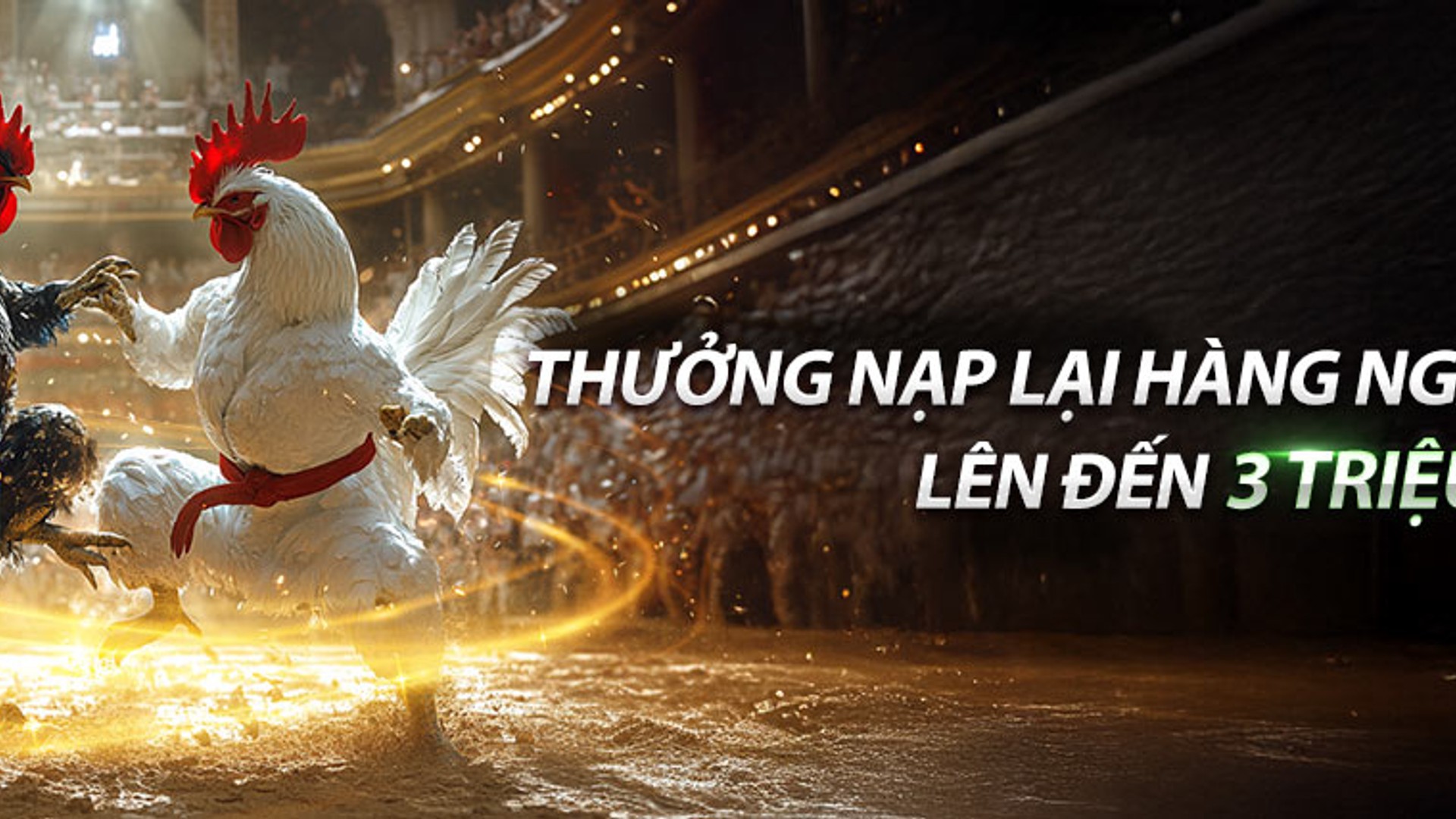 Thành viên VIP 888b tận hưởng đặc quyền